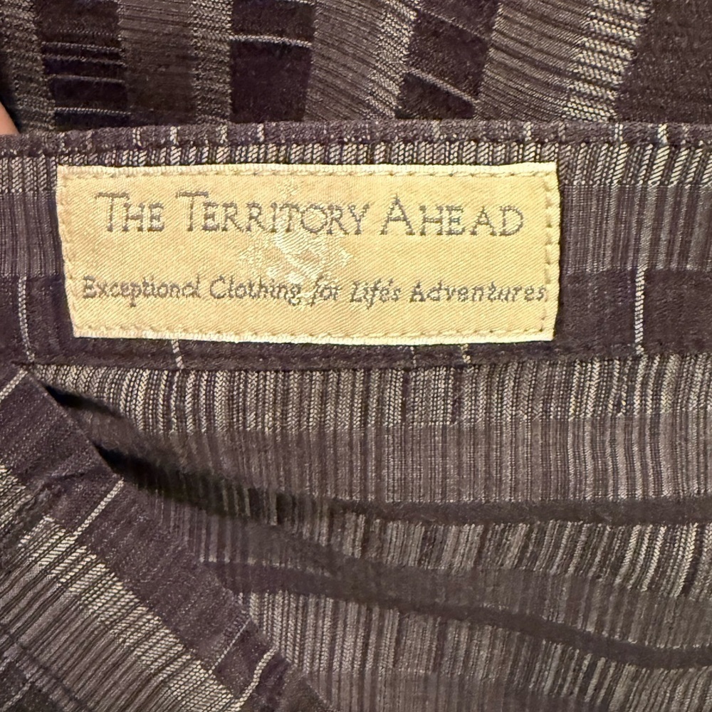 The Territory Ahead Charcoal Striped Button Down Shirt - Picture 4 of 5